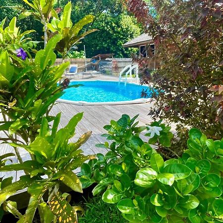 Raiatea - Orion Pool Bungalow Uturoa Exteriör bild